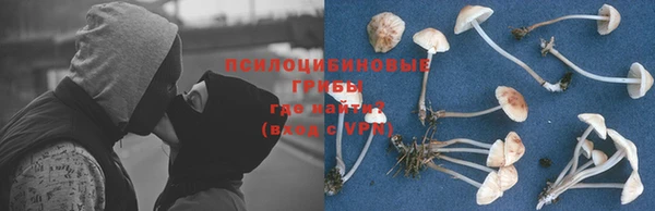 ECSTASY Алексеевка