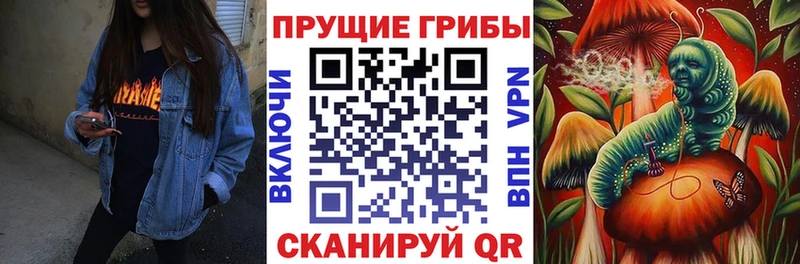 hydra tor  Тамбов  Псилоцибиновые грибы MAGIC MUSHROOMS 